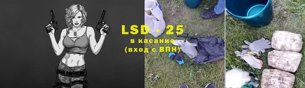 крисы Алзамай