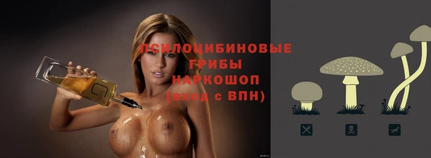 шишки Алексин