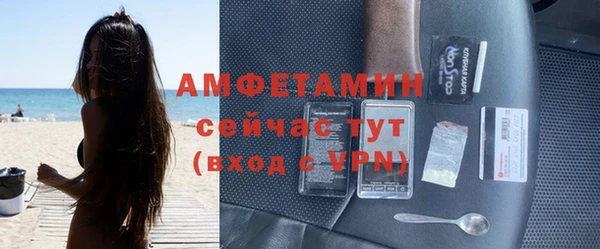 шишки Алексин