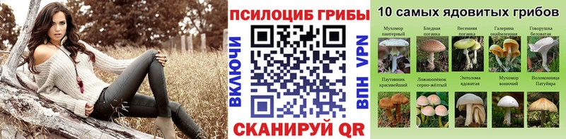Псилоцибиновые грибы Psilocybe  дарнет шоп  Раменское 