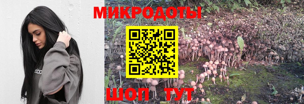Псилоцибиновые грибы GOLDEN TEACHER Раменское