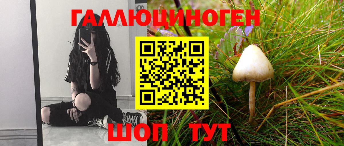Псилоцибиновые грибы MAGIC MUSHROOMS  Вход с VPN  Псилоцибиновые грибы мицелий  Раменское 